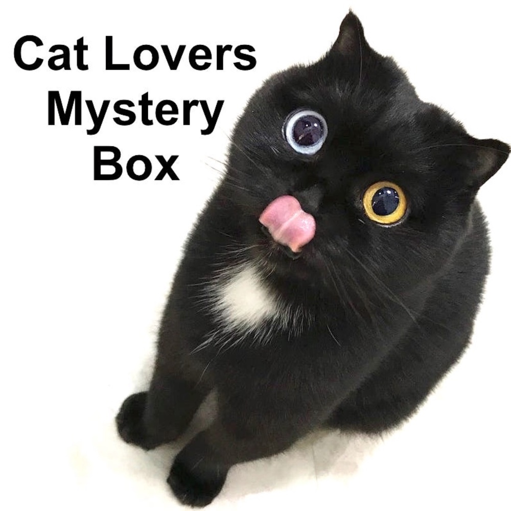 Cat Lovers Eclectic Mystery Gift Surprise Box Lot Unisex Men Women Birthday Xmas